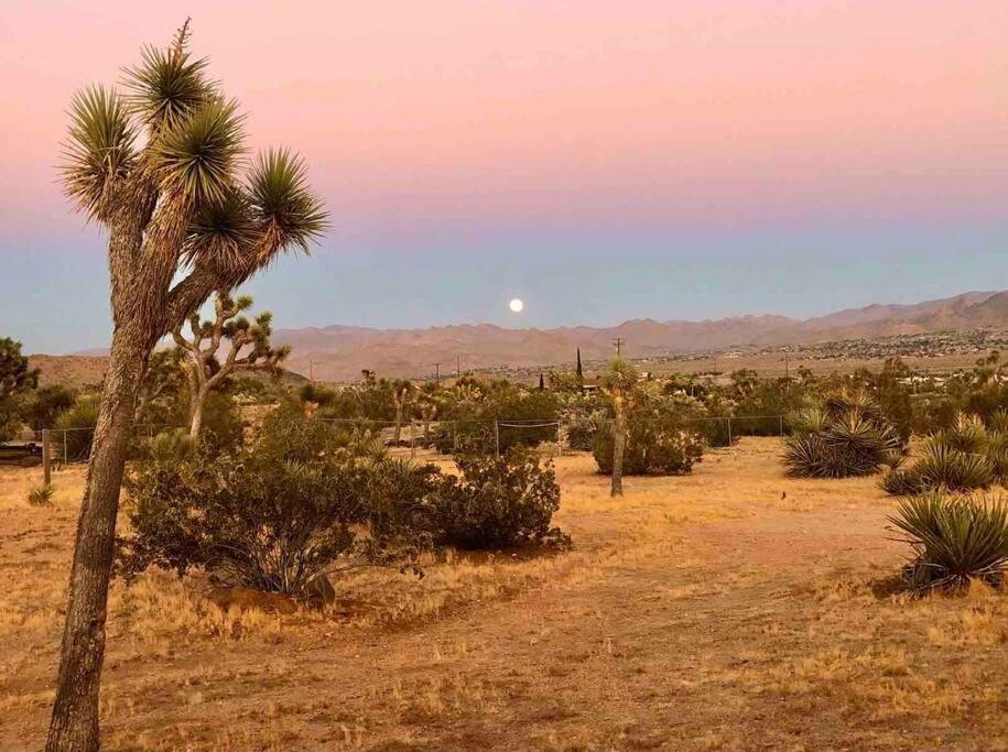 Desert Dreamer 尤卡谷 外观 照片